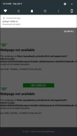 1633709465572.webp