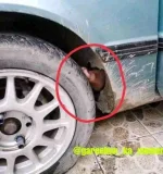 FB_IMG_16337326692924778.webp