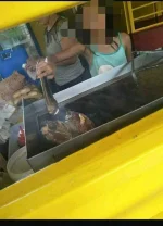 FB_IMG_1633779396692.webp