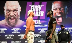 fury.webp
