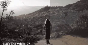 ink-Director-Suite-365-Content-Packs-Free-Download.webp ink-Director-Suite-365-Content-Packs-Free-Download.webp