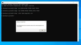 W2.webp