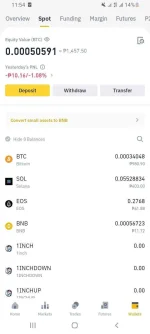 Screenshot_20211012-115452_Binance.webp