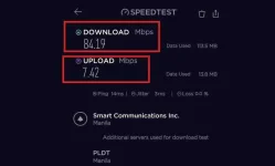 PLDT2.webp