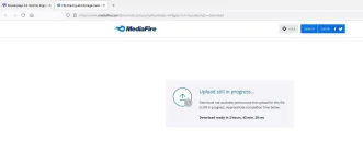 1.webp
