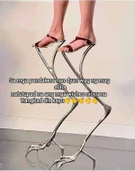 FB_IMG_16340282974666691.webp