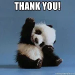 thank-you.webp
