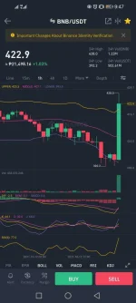 Screenshot_20211012_214731_com.binance.dev.webp