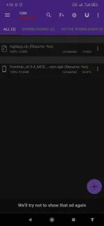 Screenshot_2021-10-14-01-12-04-528_idm.internet.download.manager.webp