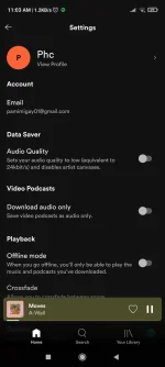 Screenshot_2021-10-14-11-03-15-827_com.spotify.music.webp