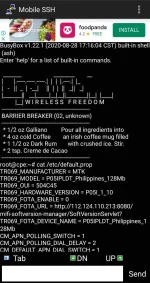Screenshot_20211014-142100_Mobile SSH.webp