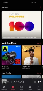 Screenshot_20211014-165915_Apple Music.webp