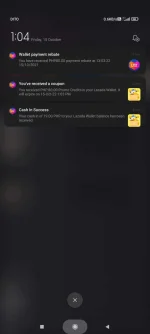 Screenshot_2021-10-15-13-04-30-171_com.google.android.documentsui.webp