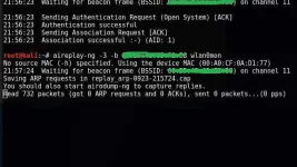 prq34i6.jpg
