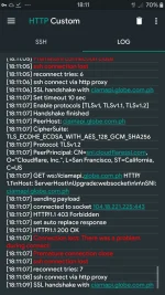 Screenshot_20211015-181110_HTTP Custom.webp
