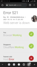 Screenshot_2021-10-15-22-17-32-164_com.android.chrome.webp