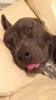 200.gif