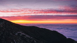 200.gif 200.gif