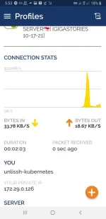 Screenshot_20211017-175314_OpenVPN Connect.webp