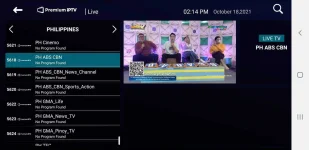 Screenshot_20211018-141444_Premium IPTV Player.webp