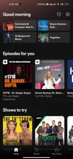 Screenshot_2021-10-19-06-40-40-610_com.spotify.music.webp