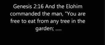 4865720_Screenshot_20210729-135932_1.webp
