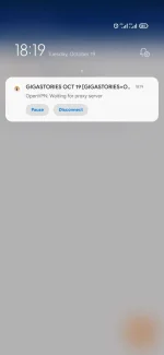 Screenshot_2021-10-19-18-19-30-562_net.openvpn.openvpn.webp
