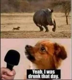 FB_IMG_16337415678113624.webp