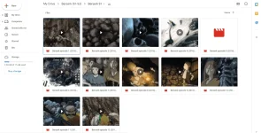 Screenshot 2021-10-21 083022.webp