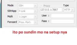 svl_setup.webp