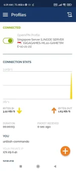 Screenshot_2021-10-22-06-29-30-443_net.openvpn.openvpn.webp