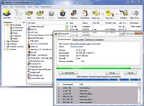 IDM_12_idm_250.png
