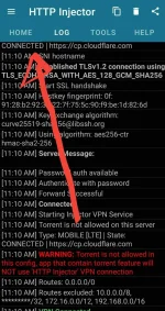 Screenshot_20211025-111042_HTTP Injector.webp