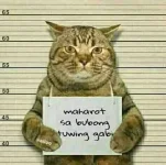 sy8qK2h091EEvM8QOJVtARjoM&_nc_ht=scontent.fmnl17-1.webp