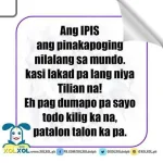 images (6).webp