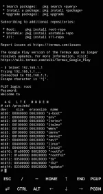 Screenshot_20211027-145321_Termux.webp