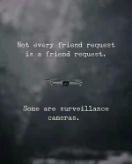 FB_IMG_16347257989571098.webp