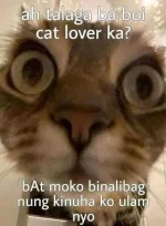 FB_IMG_16353317200560557.webp
