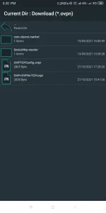 Screenshot_2021-10-27-17-30-08-677_xyz.easypro.httpcustom.webp