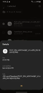 Screenshot_20211028-105350_My Files.webp