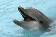 images - 2021-10-28T132923.886.webp