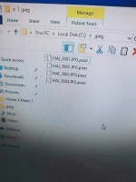 1635410008197235686979340208778.webp