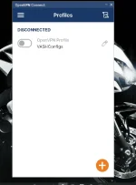 pc ovpn.webp
