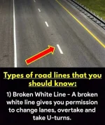 FB_IMG_1634647011412.webp