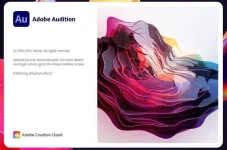 Audition.webp
