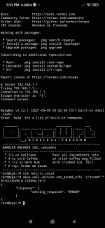 Screenshot_2021-10-30-17-53-25-094_com.termux.webp