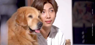 Bts The Best (2021)-12.mkv_20211030_101539.187.webp Bts The Best (2021)-12.mkv_20211030_101539.187.webp