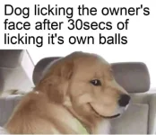 FB_IMG_16356584428652215.webp