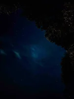 DA25FFEF-E795-422D-BAF4-16DD7DDF6528.jpeg DA25FFEF-E795-422D-BAF4-16DD7DDF6528.jpeg