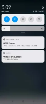 Screenshot_2021-11-01-15-09-56-998_xyz.easypro.httpcustom.webp